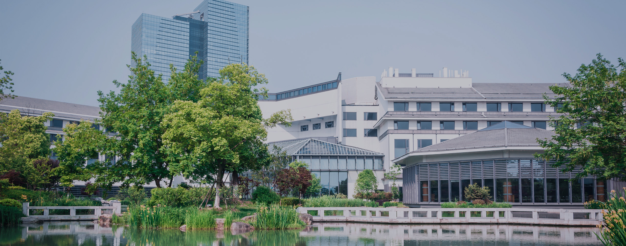 Reinventing University Banner